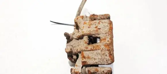 Mitsubishi Grandis Rear brake caliper
