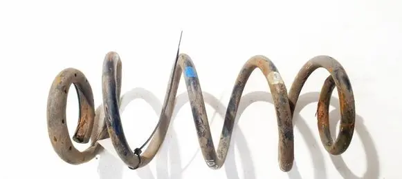 Rear coil spring