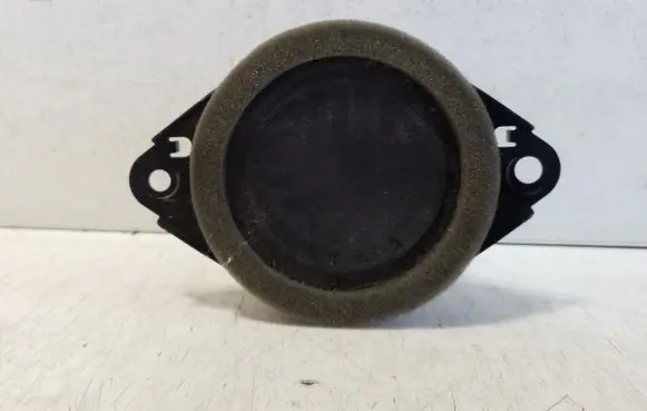 Lexus NX Panel speaker 861500W290 8924006501A 34916J0201