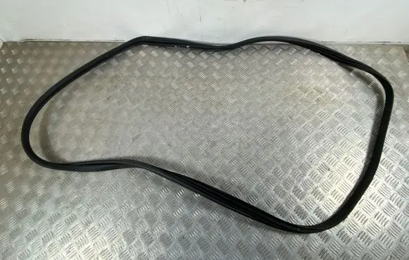 Renault Arkana Front door rubber seal 