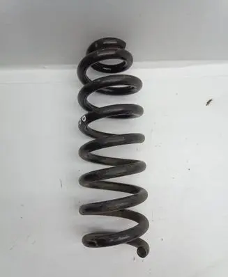 Rear coil spring