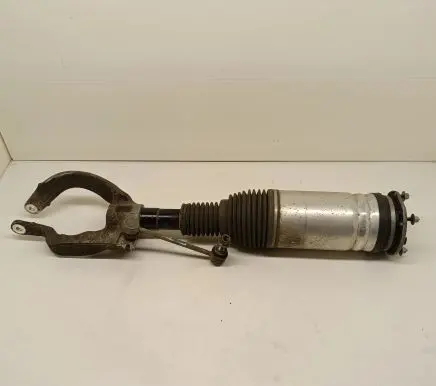 Land Rover Discovery 5 Front air suspension shock absorber HY323C286BE HY3218045BB