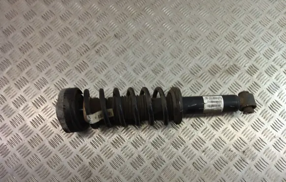 BMW X3 F25 Rear shock absorber with coil spring 6796317