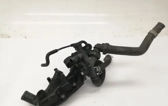 Nissan Juke I F15 Thermostat 110601073R
