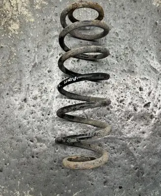 Volkswagen PASSAT B6 Rear coil spring