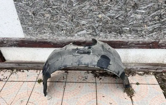 Jaguar X-Type Front wheel arch liner splash guards 1X43166563AD 1X43166563