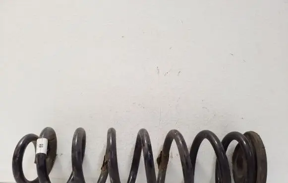 Rear coil spring