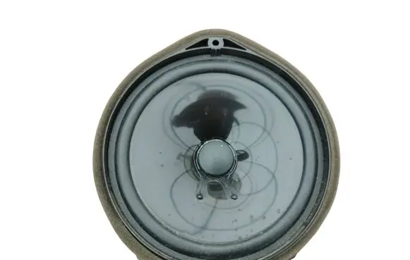 Honda Insight Front door speaker 8HD08D