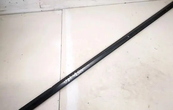 Front door glass trim molding