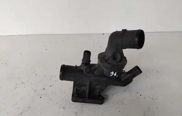 Thermostat/thermostat housing