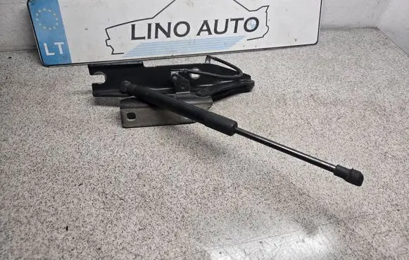 BMW 5 E60 E61 Engine bonnet/hood hinges 41617008728