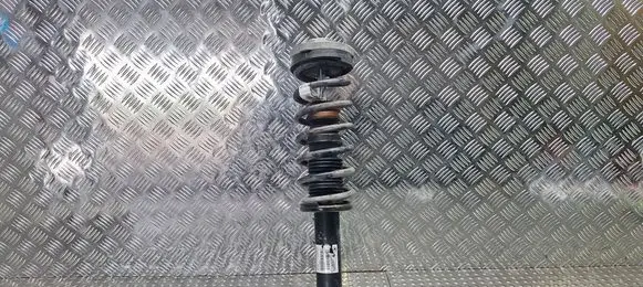 BMW X3 F25 Rear shock absorber/damper S25145134 6796422