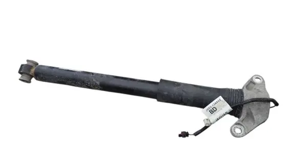 Jaguar I-Pace Rear shock absorber/damper J9D318080CB J9D313A840