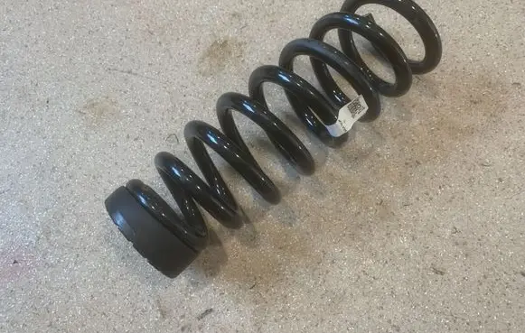 Rear coil spring