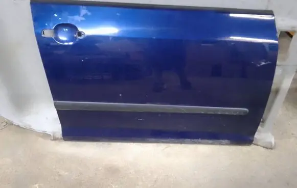 Volkswagen Golf Plus Front door