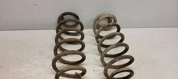 Rear coil spring