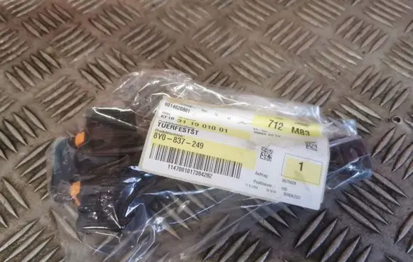 Audi A3 8Y Rear door check strap stopper
