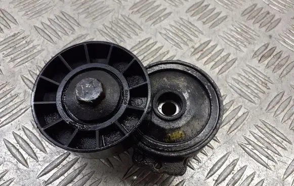 Peugeot 407 Alternator belt tensioner pulley 