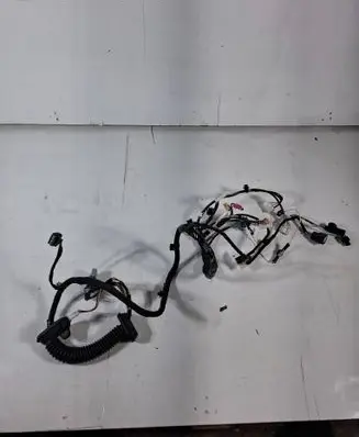 Front door wiring loom