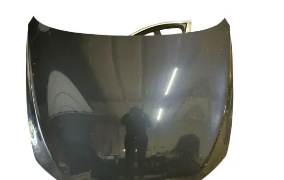Engine bonnet/hood