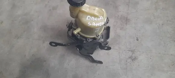 Dacia Sandero Power steering belt tensioner 491102583R