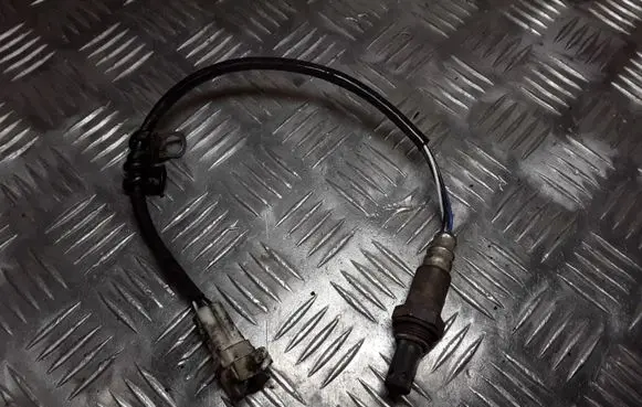 Suzuki Grand Vitara II Lambda probe sensor 491009151