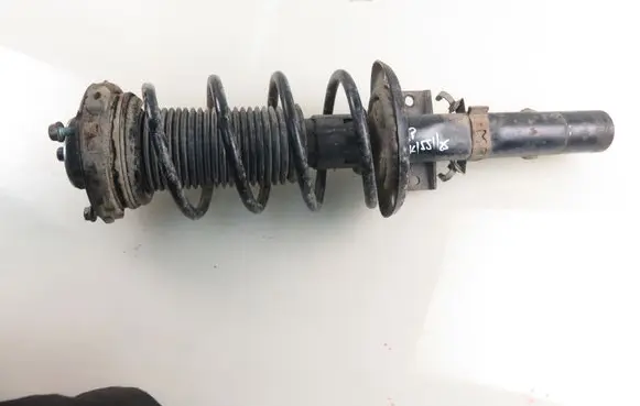 Volkswagen Polo IV 9N3 Front shock absorber with coil spring MGA5527