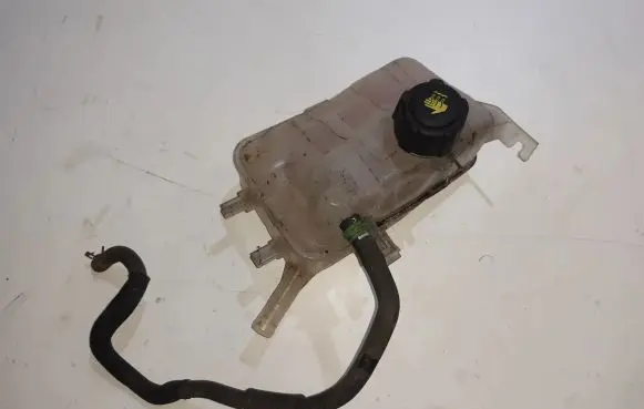 Renault Scenic III - Grand scenic III Coolant expansion tank/reservoir 217100005R