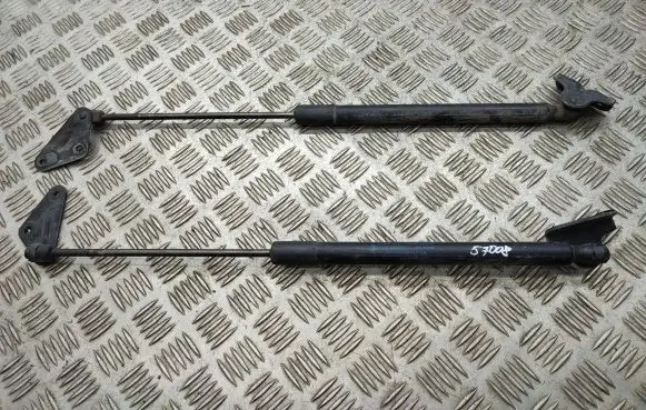 Ford B-MAX Tailgate/trunk strut/damper AV11R406A10AB