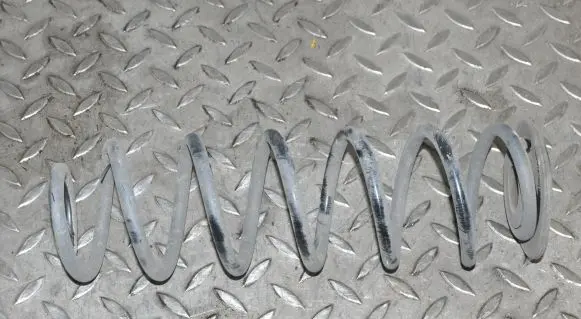 Rear coil spring