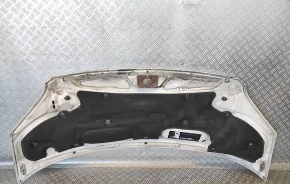 Engine bonnet/hood