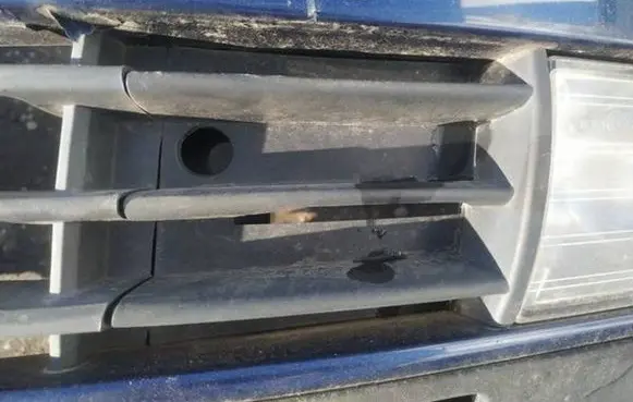 Skoda Octavia Mk2 (1Z) Front bumper lower grill