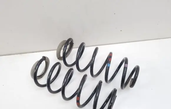 Rear coil spring