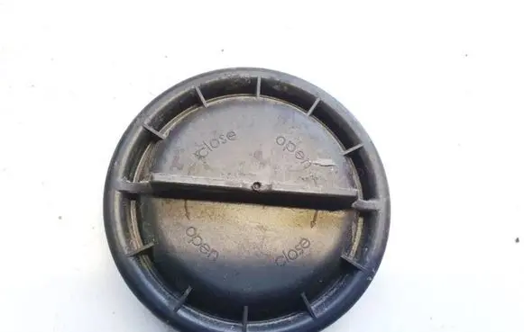 Mercedes-Benz S W221 Headlight/headlamp dust cover 1305219122