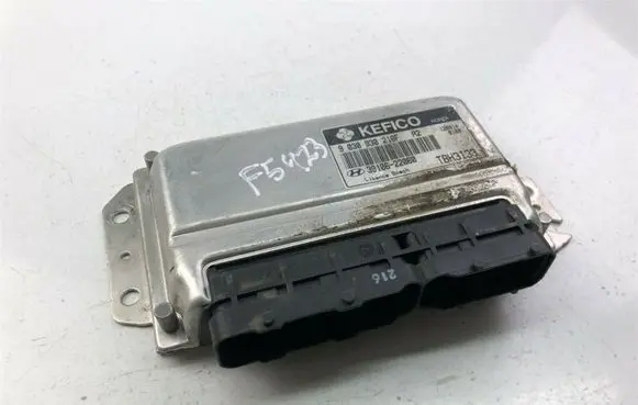 Hyundai Getz Other control units/modules 3910622060 F5423