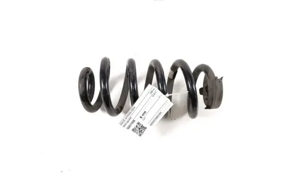 Volkswagen ID.4 Rear coil spring 1EA511103G