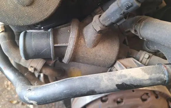 Opel Vectra C Engine coolant pipe/hose