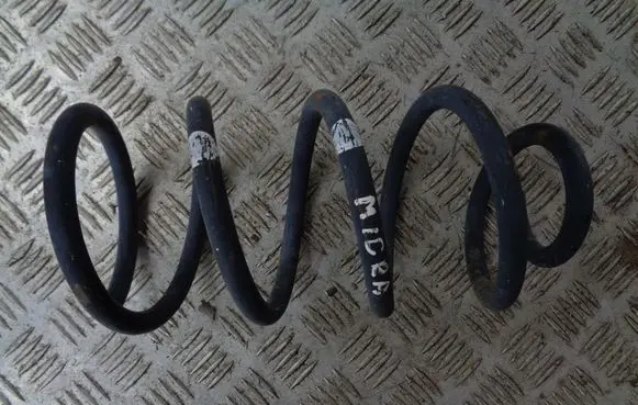 Rear coil spring
