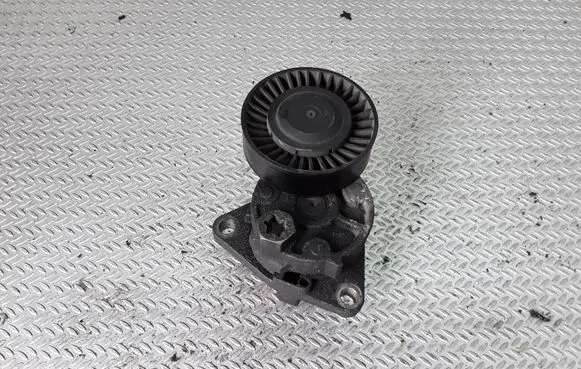 KIA Carnival Generator/alternator belt tensioner