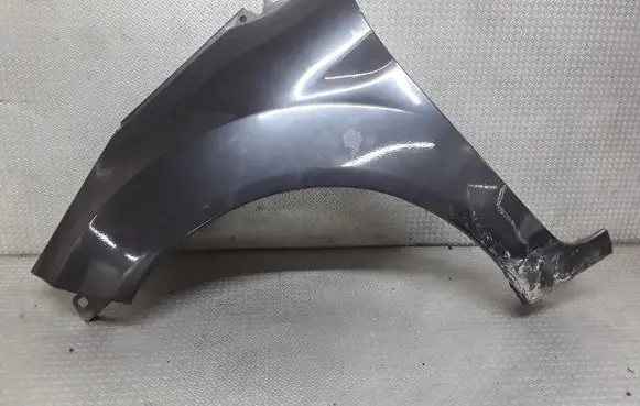 Ford Fiesta Fender