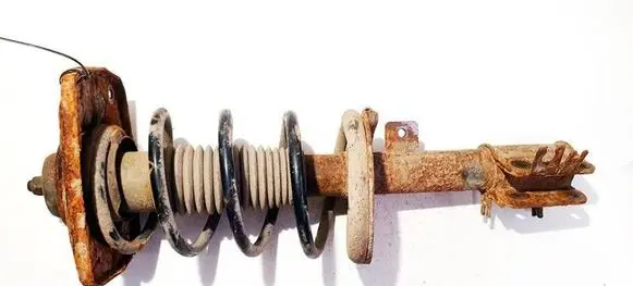 Citroen C8 Front shock absorber/damper 
