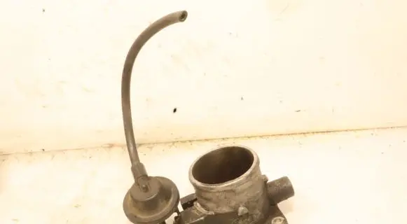 Throttle body valve