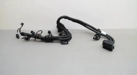 BMW X1 F48 F49 Fuel injector wires 8643382