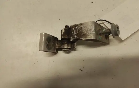 Volkswagen Golf IV Front door lower hinge