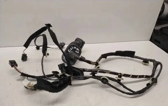 Renault Clio IV Front door wiring loom 241254038R
