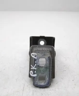Renault Scenic III - Grand scenic III Front door lower hinge 
