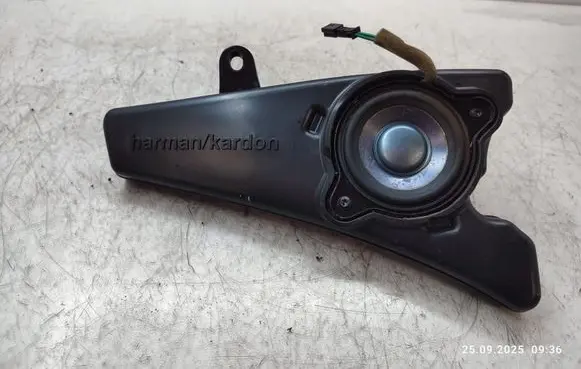 Mercedes-Benz R W251 Parcel shelf speaker A2518200402