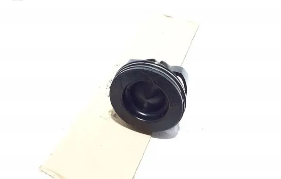Renault Kangoo III Piston with connecting rod 120A11635R