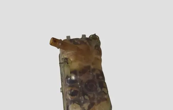 Citroen C5 Coolant expansion tank/reservoir