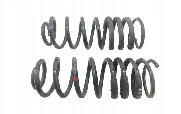 Ford Transit - Tourneo Connect Rear coil spring